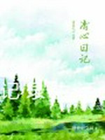 清心日记