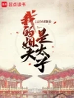 我的姐夫是太子小说封面