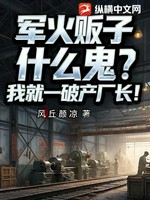 军火贩子什么鬼？我就一破产厂长！