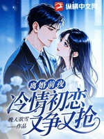 离婚前夜，冷情初恋又争又抢