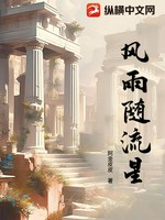 风雨随流星