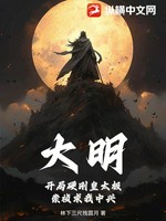 大明，开局硬刚皇太极，崇祯求我中兴