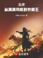 北宋：从滴滴司机到并肩王