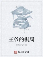 王爷的棋局
