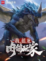 我，蓝龙，肉鸽玩家