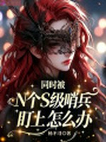 同时被N个S级哨兵盯上怎么办
