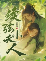 续弦小夫人