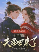 贬妻为妾后，十年前的夫君回来了