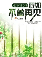 假如不曾再见