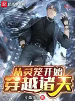 从灵笼开始穿越诸天小说封面