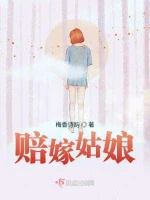 赔嫁姑娘小说封面