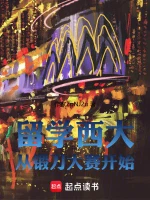 留学西大从锻刀大赛开始小说封面