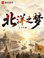 北洋之梦小说封面