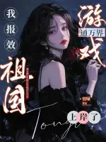 游戏通万界，我报效祖国上岸了小说封面