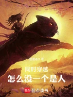 同时穿越，怎么没一个是人小说封面
