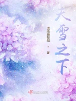 天雪之下小说封面