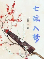 七弦入梦小说封面