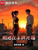 相遇在末世开端小说封面