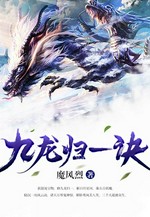 九龙归一诀小说封面