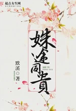 姝途同贵小说封面