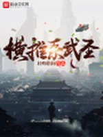 横推系武圣小说封面