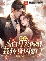 陆总为白月光悔婚，我转身闪婚了小说封面