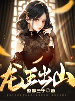 龙王出山小说封面