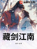 藏剑江南小说封面