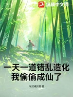 一天一道错乱造化，我偷偷成仙了小说封面